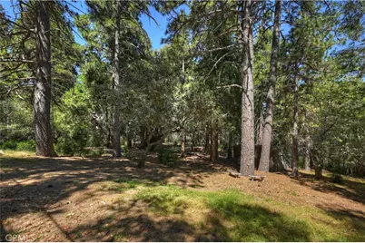 550 Coyote Trail, Cedarpines Park, CA 92325 - Photo 63