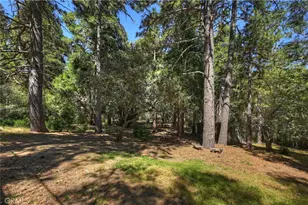 550 Coyote Trail, Cedarpines Park, CA 92325 - Photo 63