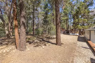 630 Maple, Sugarloaf, CA 92386 - Photo 47