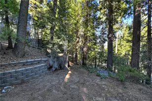 28999 Cedar Terrace, Cedar Glen, CA 92321 - Photo 9