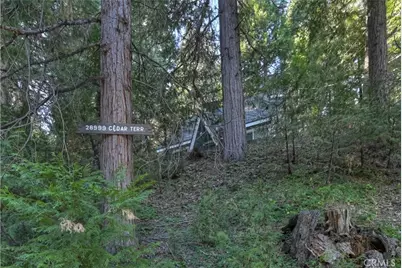 28999 Cedar Terrace, Cedar Glen, CA 92321 - Photo 3