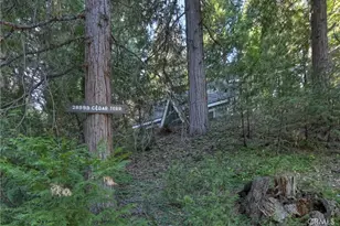 28999 Cedar Terrace, Cedar Glen, CA 92321 - Photo 3