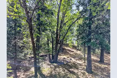 30308 Leprechaun, Running Springs, CA 92382 - Photo 17