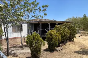41450 Apple Rd, Anza, CA 92539 - Photo 19