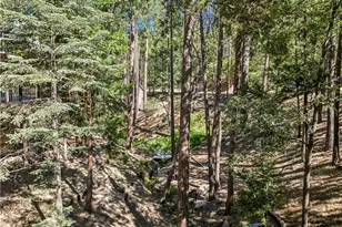 628 Grass Valley Rd, Lake Arrowhead, CA 92352 - Photo 51
