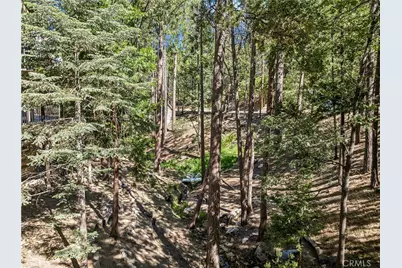 628 Grass Valley Road, Lake Arrowhead, CA 92352 - Photo 51