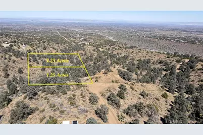 7958 Homeridge Drive, Pinon Hills, CA 92372 - Photo 3