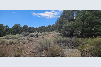 0 Baldwin Lake Road, Big Bear City, CA 92314 - Photo 11