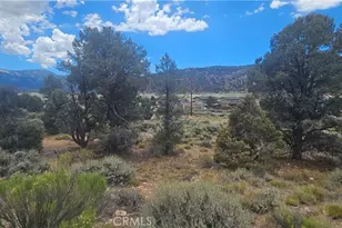 0 Baldwin Lake Rd, Big Bear City, CA 92314 - Photo 1