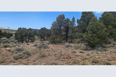 0 Baldwin Lake Road, Big Bear City, CA 92314 - Photo 9