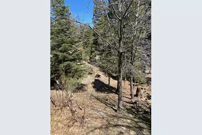 0 Circle, Lake Arrowhead, CA 92323 - Photo 1