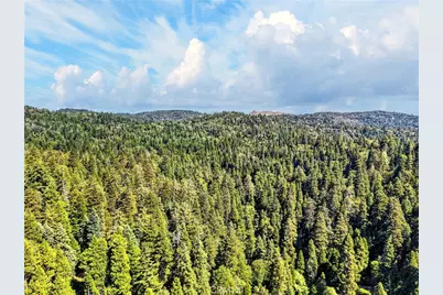 501 Dogwood Canyon, Blue Jay, CA 92317 - Photo 57