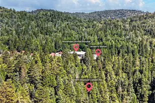 501 Dogwood Canyon, Blue Jay, CA 92317 - Photo 53