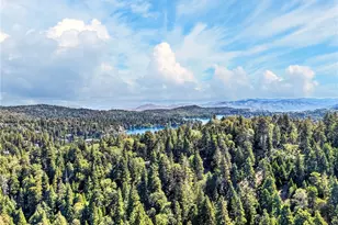 501 Dogwood Canyon, Blue Jay, CA 92317 - Photo 55