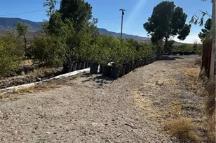 9181 Visalia, Lucerne Valley, CA 92356 - Photo 19