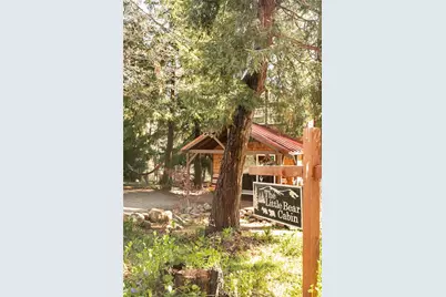 471 Willow Witch, Cedarpines Park, CA 92325 - Photo 29
