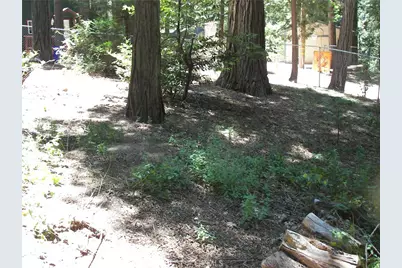 1101 Big Tree, Crestline, CA 92325 - Photo 3