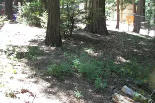 1101 Big Tree, Crestline, CA 92325 - Photo 3