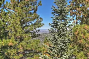 26077 Walnut Hills, Lake Arrowhead, CA 92352 - Photo 43