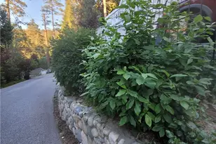 447 Valley Rd, Crestline, CA 92325 - Photo 11