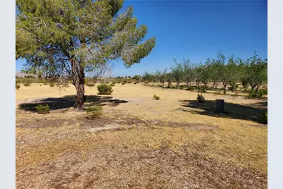 9870 Cody, Lucerne Valley, CA 92356 - Photo 13