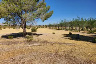 9870 Cody, Lucerne Valley, CA 92356 - Photo 13