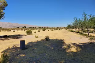 9870 Cody, Lucerne Valley, CA 92356 - Photo 5