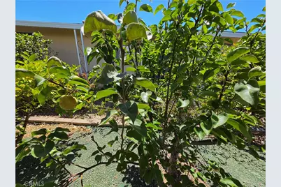 28799 Via Playa Del Rey, Murrieta, CA 92563 - Photo 29