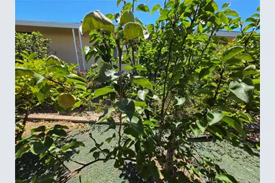 28799 Via Playa Del Rey, Murrieta, CA 92563 - Photo 29
