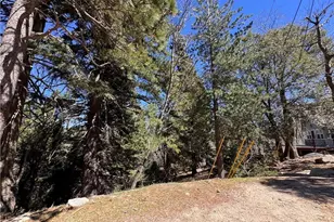 0 Mid Ln, Twin Peaks, CA 92391 - Photo 1