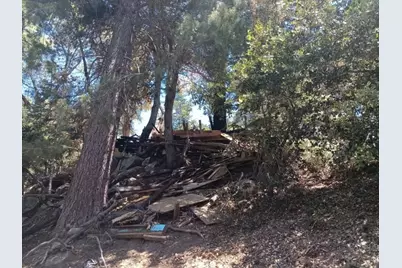 1102 Chateau Drive, Crestline, CA 92325 - Photo 3