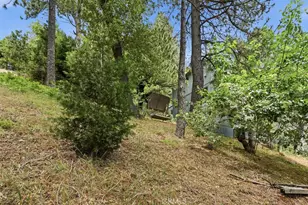 21543 Peak Cir, Cedarpines Park, CA 92322 - Photo 35