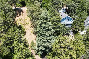 21543 Peak Cir, Cedarpines Park, CA 92322 - Photo 5