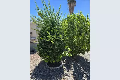 250 Santa Clara, Hemet, CA 92543 - Photo 27