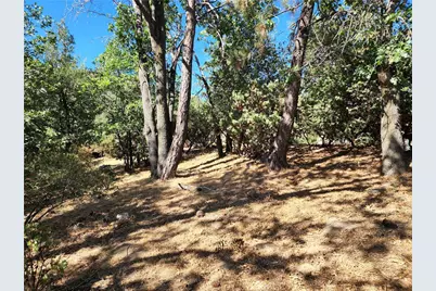 1248 Glacier Drive, Lake Arrowhead, CA 92352 - Photo 7