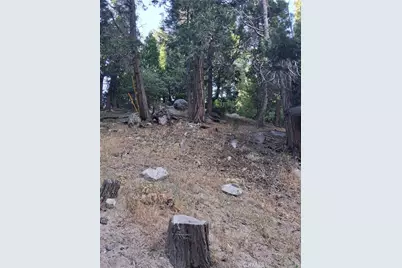 6 Finhaut Drive, Crestline, CA 92325 - Photo 5