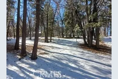 0 Columbine, Big Bear City, CA 92314 - Photo 5
