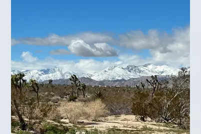 7374 Olympic Road, Joshua Tree, CA 92252 - Photo 25