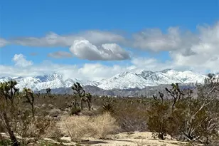 7374 Olympic Rd, Joshua Tree, CA 92252 - Photo 25