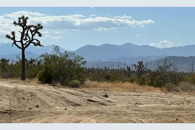 7374 Olympic Road, Joshua Tree, CA 92252 - Photo 27