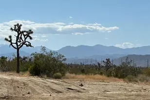 7374 Olympic Rd, Joshua Tree, CA 92252 - Photo 27