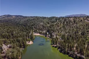 33163 Holcomb Creek, Green Valley Lake, CA 92341 - Photo 51