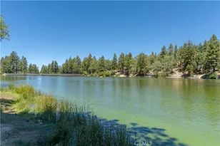 33163 Holcomb Creek, Green Valley Lake, CA 92341 - Photo 45