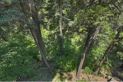 576 Kuffel Canyon Drive, Lake Arrowhead, CA 92352 - Photo 41