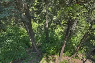 576 Kuffel Canyon Dr, Lake Arrowhead, CA 92352 - Photo 41