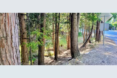 0 Grass Valley, Lake Arrowhead, CA 92352 - Photo 5