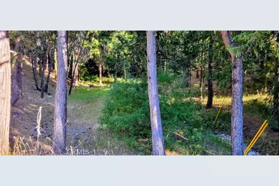0 Grass Valley, Lake Arrowhead, CA 92352 - Photo 3