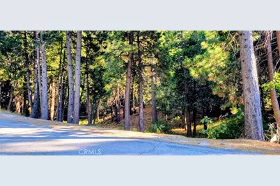 0 Grass Valley, Lake Arrowhead, CA 92352 - Photo 9