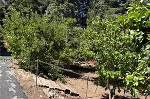5974 Pine, Angeles Oaks, CA 92305 - Photo 11