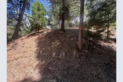 0 Dart Canyon, Crestline, CA 92325 - Photo 7